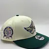 New Era Plana Ref:260000439